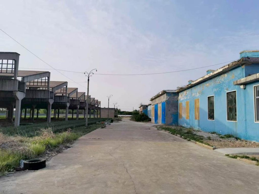 广东一国企北上淄博建“烧烤园区”遇阻:拿了土地证,地上20间房屋遭法拍易主